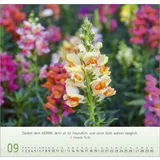 Stimmungsbild zu Blumen-Impressionen 2026 - Wandkalender