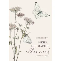 Produktbild des Artikels Jahreslosung 2026 - Postkarten (10er-Set) (Schreibwaren)