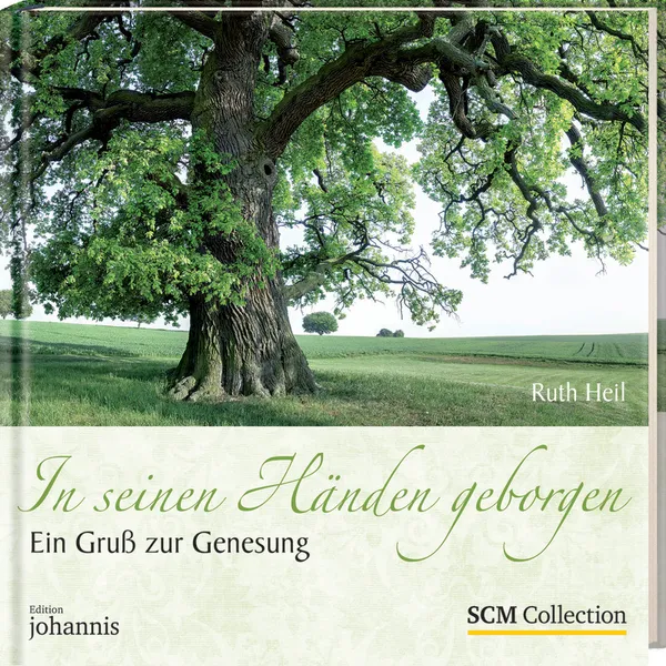 Produktbild des Artikels In seinen Händen geborgen (Buch - Gebunden)