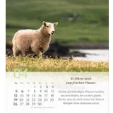 Stimmungsbild zu Psalm 23 - Tischkalender 2026