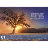 Stimmungsbild zu Jesus Worte 2026