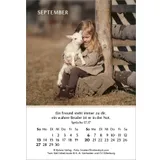 Stimmungsbild zu Ein Jahr der Geborgenheit 2026 - Minikalender