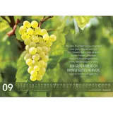 Stimmungsbild zu Jesus Worte 2026