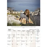 Stimmungsbild zu Israel 2026 - Posterkalender