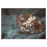 Stimmungsbild zu SegensWünsche