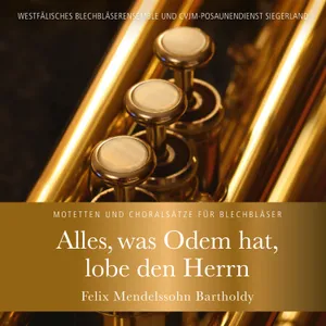 Produktbild des Artikels Alles, was Odem hat, lobe den Herrn (MP3-Album - Download)
