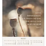 Stimmungsbild zu Zarte Blumengrüße 2026 - Tischkalender