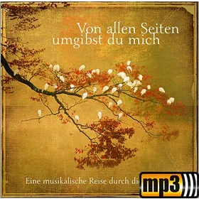 Produktbild des Artikels Ihr Diener Gottes, unsres Herrn - Psalm 134 (MP3-Track - Download)