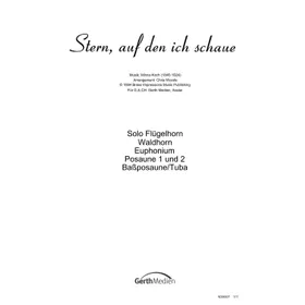 Produktbild des Artikels Stern, auf den ich schaue (Noten - Download)