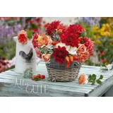 Stimmungsbild zu Postkartenbox "Wir feiern im Garten"