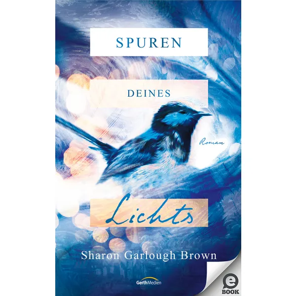 Produktbild des Artikels Spuren deines Lichts (E-Book - ePUB Datei)