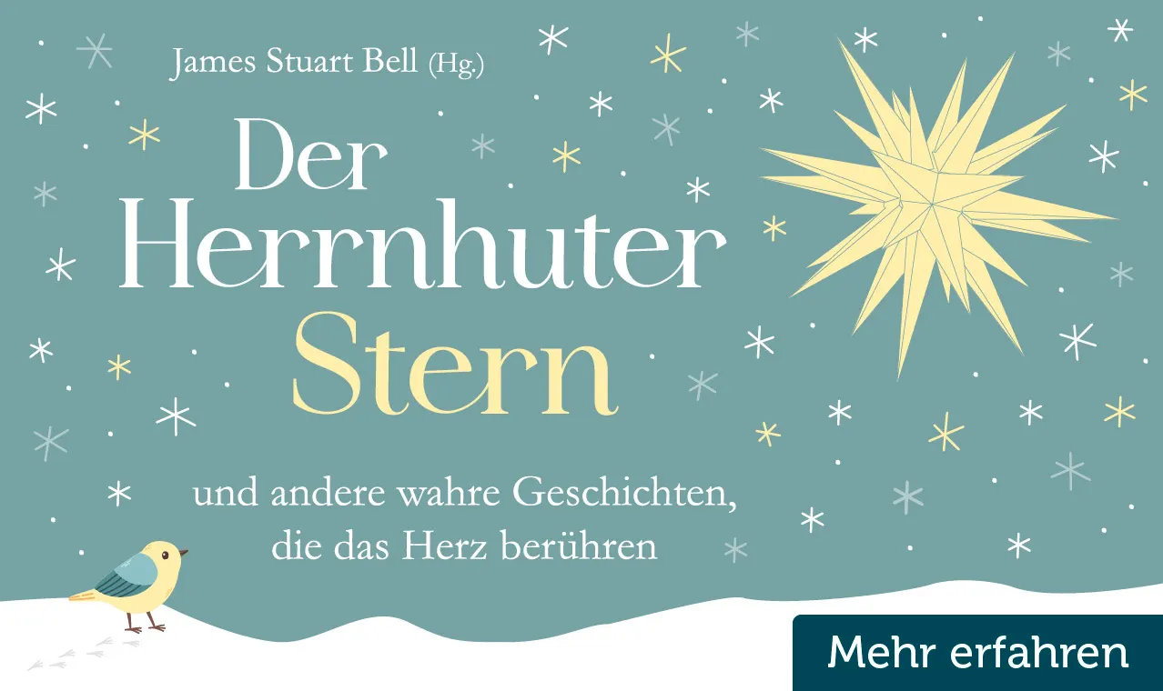 Banner Der Herrnhuter Stern