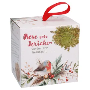 Produktbild des Artikels Wunder der Weihnacht - Rose von Jericho ()
