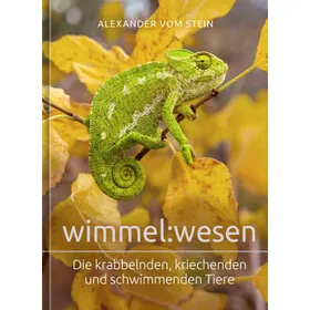 Produktbild des Artikels wimmel:wesen (Buch - Gebunden)