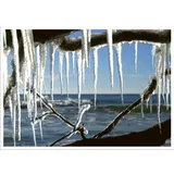 Stimmungsbild zu Bin am Meer - Postkartenbuch