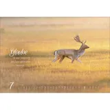 Stimmungsbild zu Real Wildlife 2026 - Wandkalender