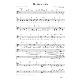 Produktbild des Artikels Du führst mich (Noten - Download)