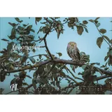 Stimmungsbild zu Real Wildlife 2026 - Wandkalender