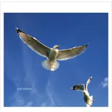 Stimmungsbild zu Meerblick - Aufstellbuch