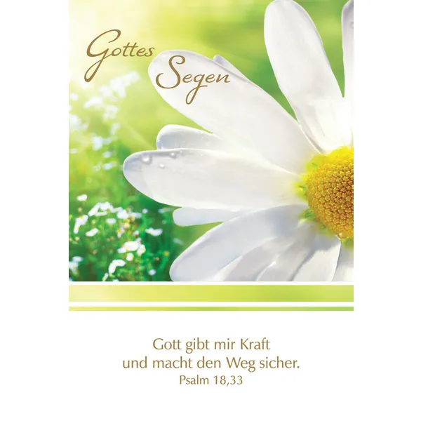 Produktbild des Artikels Faltkarte "Gottes Segen" Gänseblümchen - 5 Stück (Schreibwaren)