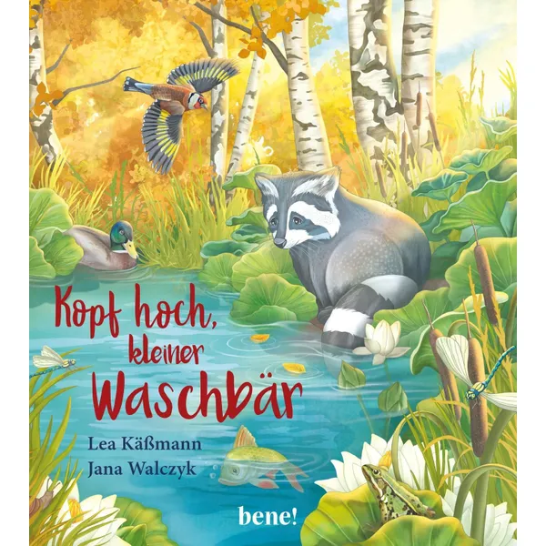 Produktbild des Artikels Kopf hoch, kleiner Waschbär (Buch - Hardcover)