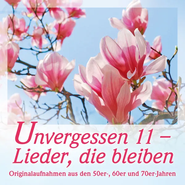 Produktbild des Artikels Unvergessen 11 - Lieder, die bleiben (MP3-Album - Download)