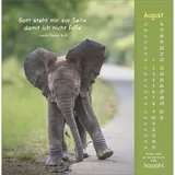 Stimmungsbild zu Gottes Liebe ist wie die Sonne 2026 - Postkartenkalender