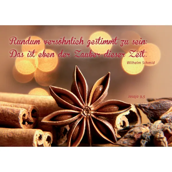 Produktbild des Artikels Faltkarte "Rundum versöhnlich gestimmt zu sein" - 5 Stk. (Schreibwaren)