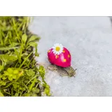 Stimmungsbild zu Postkartenbuch "Sei bunt, sei wild, sei wunderbar!"