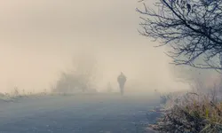 Bild zum Newsbeitrag - Wo steckt der Mann, den sie "Der Prediger" nennen?:Auf der Suche