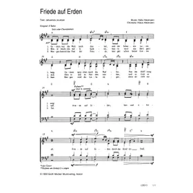 Produktbild des Artikels Friede auf Erden (Noten - Download)