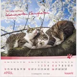 Stimmungsbild zu Kleine Katzen-Tatzen 2026 - Postkartenkalender