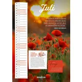 Stimmungsbild zu Der andersLEBEN-Kalender 2026