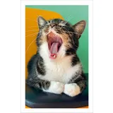 Stimmungsbild zu DENKZettelbox - Aufstellbox