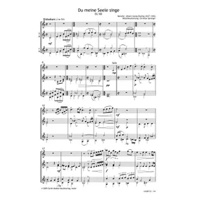 Produktbild des Artikels Du meine Seele singe (Noten - Download)