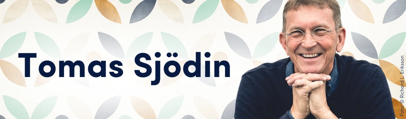 Bild zum Beitrag - Tomas Sjödin