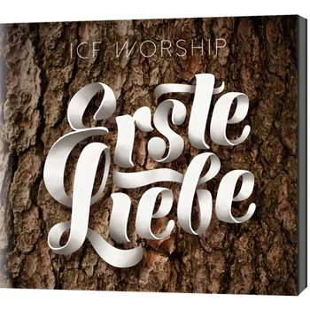 Produktbild des Artikels Erste Liebe (Audio - CD)