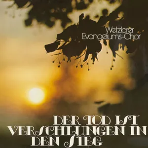 Produktbild des Artikels Der Tod ist verschlungen in den Sieg (MP3-Album - Download)
