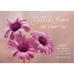 Produktbild des Artikels Faltkarte "Gottes Segen zum Geburtstag" - Blume (Schreibwaren)