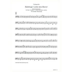 Produktbild des Artikels Halleluja! Lobet den Herrn (Violoncello) (Noten - Download)