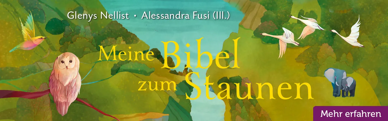 Banner zu Meine Bibel zum Staunen
