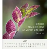 Stimmungsbild zu Zarte Blumengrüße 2026 - Tischkalender