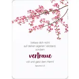 Stimmungsbild zu Königstochter - Blechdose