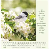 Stimmungsbild zu Blumengrüße 2026 - Wandkalender