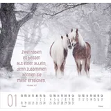 Stimmungsbild zu Beste Freunde 2026 - Posterkalender