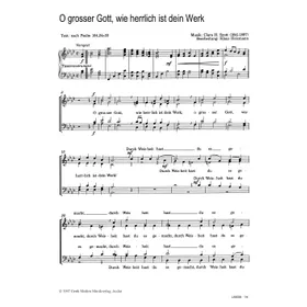 Produktbild des Artikels O großer Gott, wie herrlich ist dein Werk (Noten - Download)