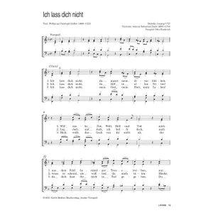 Produktbild des Artikels Ich lass dich nicht (Noten - Download)