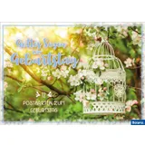 Stimmungsbild zu Postkartenbox Geburtstag "Vogelkäfig"