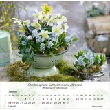 Stimmungsbild zu Gärten 2026 - Tischkalender