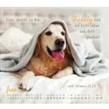 Stimmungsbild zu Segensworte 2026 - Postkartenkalender